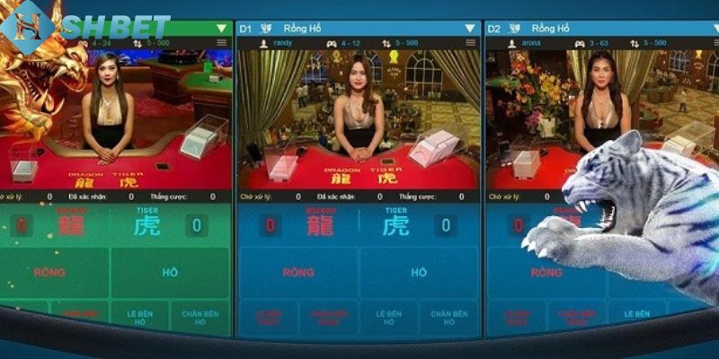 Đôi nét giới thiệu về Rồng Hổ BOM88