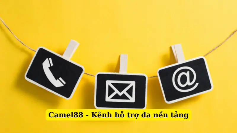 Camel88 - Kênh hỗ trợ đa nền tảng