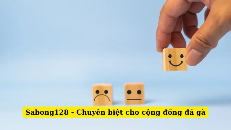 Sabong128 - Chuyên biệt cho cộng đồng đá gà