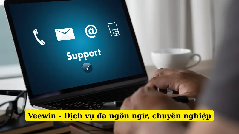 Veewin - Dịch vụ đa ngôn ngữ, chuyên nghiệp